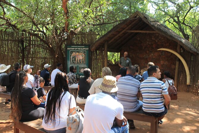Elephant Sanctuary Tour From Johannesburg - Booking and Cancellation Policy