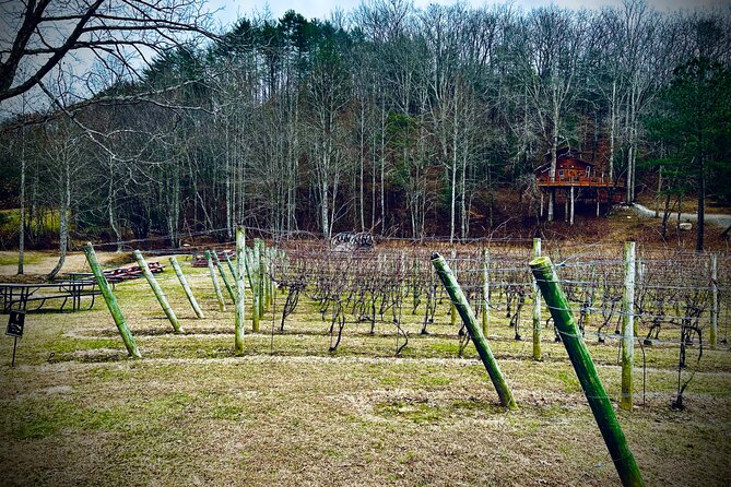 Elijay Hike W/ Waterfall & Wine Tasting Private Tour From ATL - Pricing and Inclusions for the Elijay Hike W/ Waterfall & Wine Tasting Private Tour