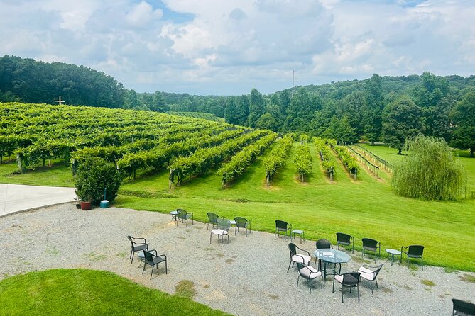 Elijay Three Vineyards Private Wine Tasting Tour From Atlanta - Pricing and Booking Information