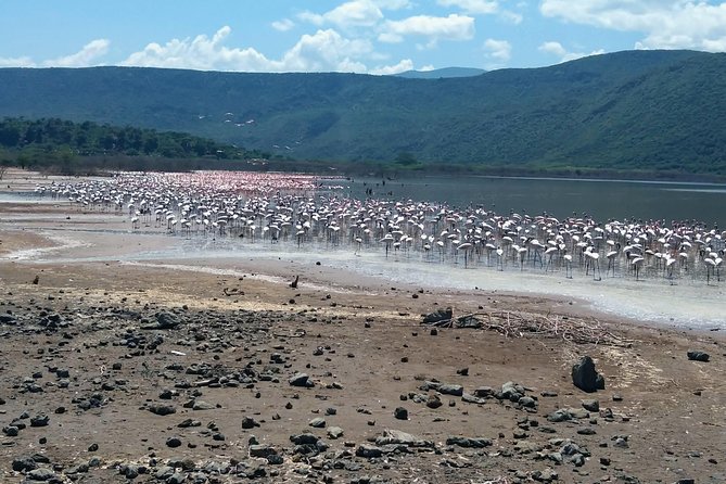 Escape to Lake Bogoria, Flamingos New Home for an Overnight Safari - Optional Activities and Extras