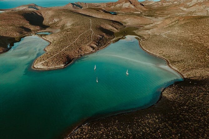 Espiritu Santo Island Tour - Customer Feedback Highlights