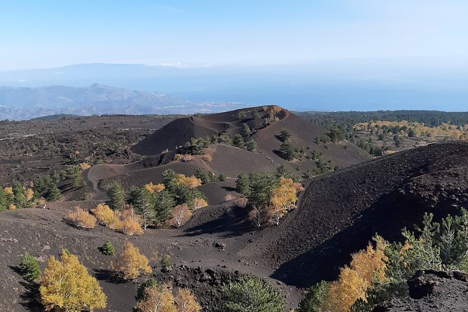 Etna Tour Jeep Excursion and Trekking - Participant Reviews and Ratings