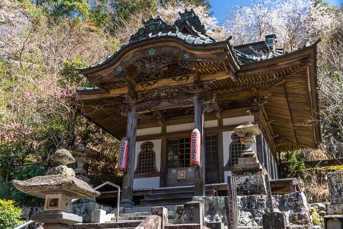 Exclusive Private Zen and Cultural Tour From Shimizu Port - Accessibility and Accommodations for the Tour
