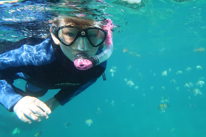 Exclusively Private Snorkel Adventures Review - Customer Reviews and Ratings