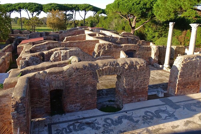 Excursions Civitavecchia to Ancient Ruins of Ostia - Group Size and Accessibility