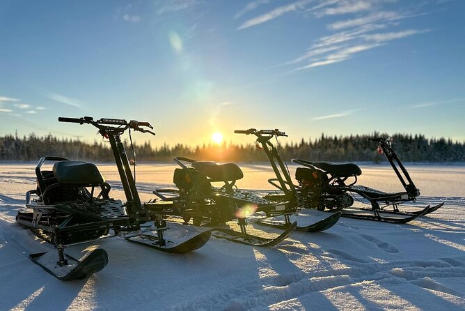 Expedition INTO THE WILD Safari and Lunch in Glass Igloo - Exploring the Wilderness of Lapland