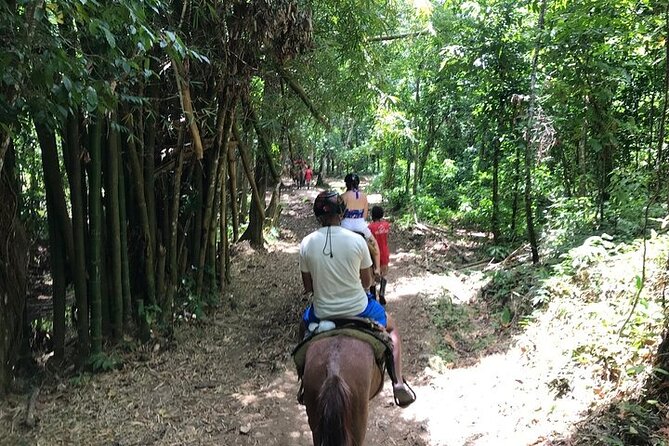 Experience Dominican Culture in This 3 in 1 Shared Tour - Frequently Asked Questions