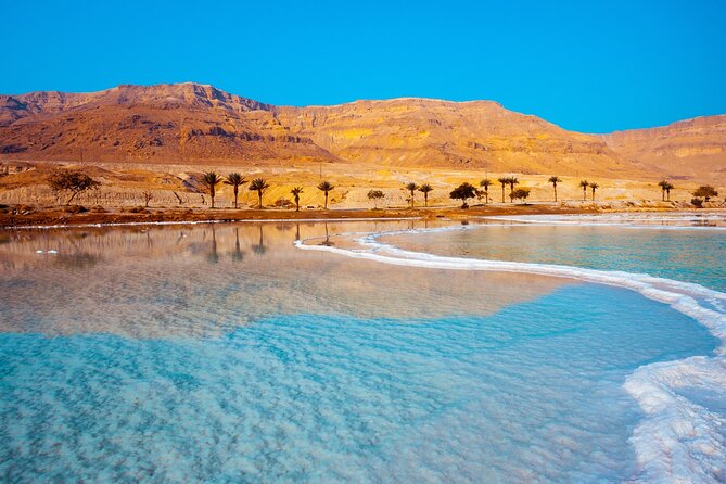 Explore Dead Sea a Day Use - Booking and Cancellation Policies