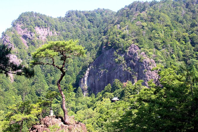 Explore Holy Mt Horaiji Private Tour - What to Expect on the Tour
