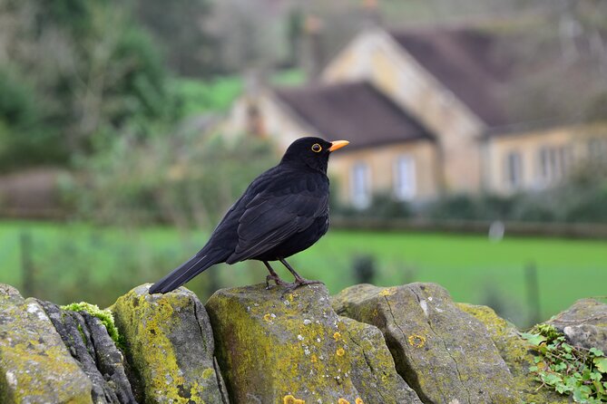 Explore the Cotswolds From Oxford Private Tour - Tour Inclusions