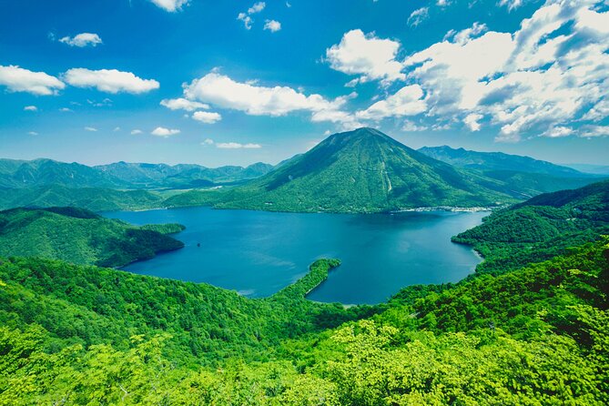 Explore the Culture and History of Nikko With This Private Tour - What to Expect on the Tour