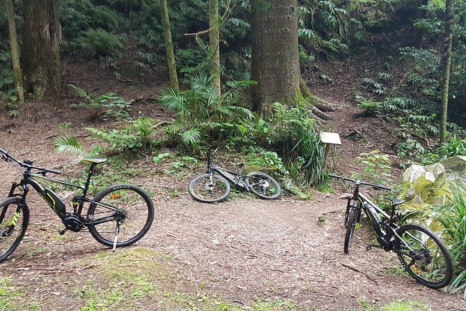 Explore the Stunning Furnas Valley on an E-Bike Adventure - Important Safety Information