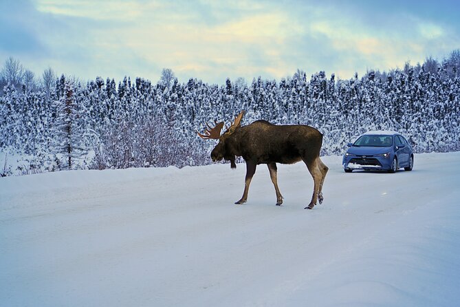 Exploring Anchorage on Winter Sundays Review - Recommended for First-Time Visitors