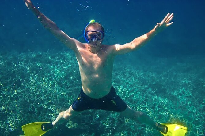 Exploring the Magnificent East of Mauritius: Full-Day Incl Blue Bay Marine Park - Tips for a Great Day