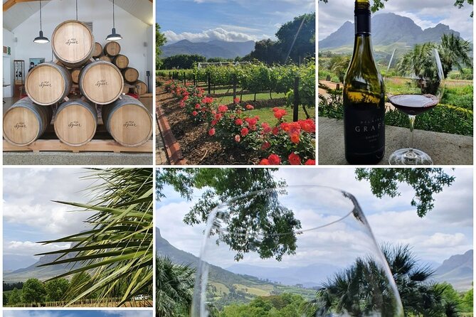 Family Winelands & Wildlife: Stellenbosch and Paarl - Booking Your Adventure