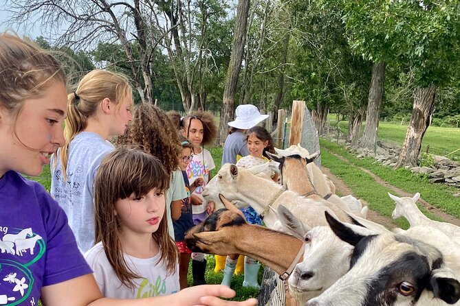 Farm Tour at Clover Brooke Llama/Alpaca/Goat Farm - Nearby Attractions