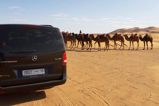 Fes Desert Tour 2 Days - What to Bring