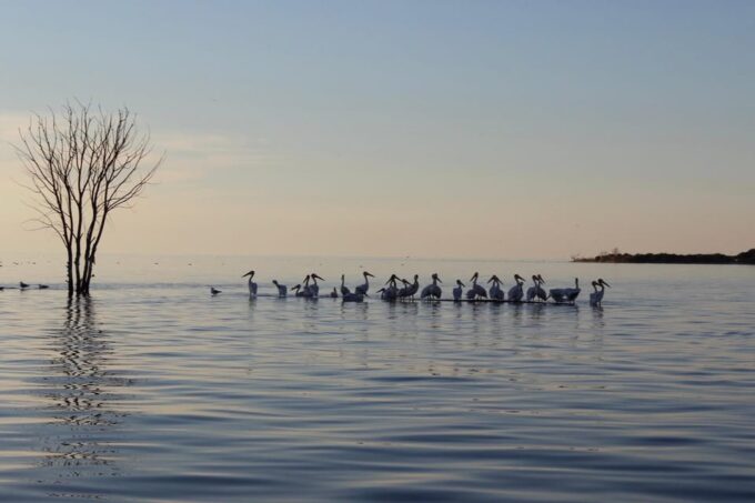 Fish Creek, WI: Sunset Live Music Cruise - Frequently Asked Questions