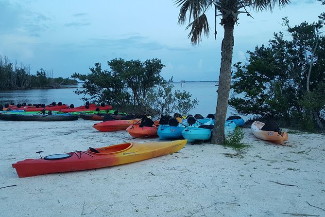 Florida Bioluminescence Kayaking Tour | Haulover Canal (Titusville) - Guest Reviews and Feedback
