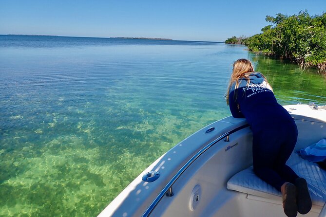 Florida Keys Backcountry Eco Tour From Big Pine Key - Highlights of the Eco Tour