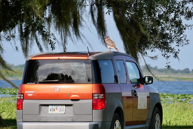 Florida Wildlife Drive Eco Tour With Lunch and Moonshine Tasting - Moonshine Tasting Experience