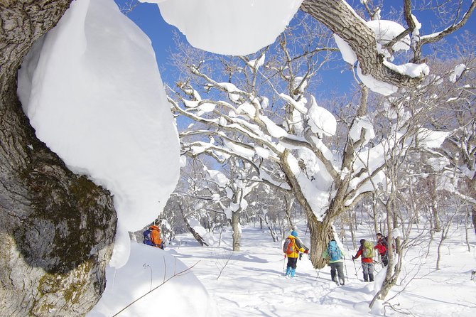 Fluffy New Snow and the Earth Beating, Goshougake Oyunuma Snowshoeing Tour - Experiencing the Earth Beating, Goshougake Oyunuma
