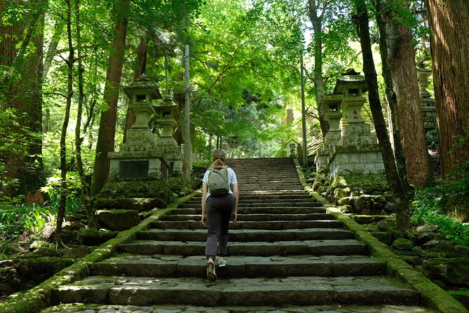 Forest Bathing in Temple and Enjoy Onsen With Healing Power - Savoring the Onsen Rejuvenation