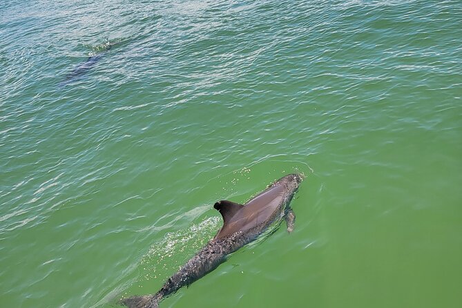 Fort Myers Beach Sunset Excursion - Reservation Options