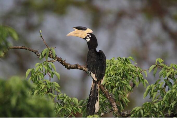 From Anuradhapura: Full Day Wilpattus Wild Wonders -Private - Frequently Asked Questions