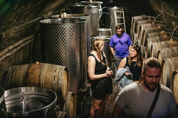From Budapest: Etyek Wine Tasting Tour With 3-Course Meal - Special Accommodations
