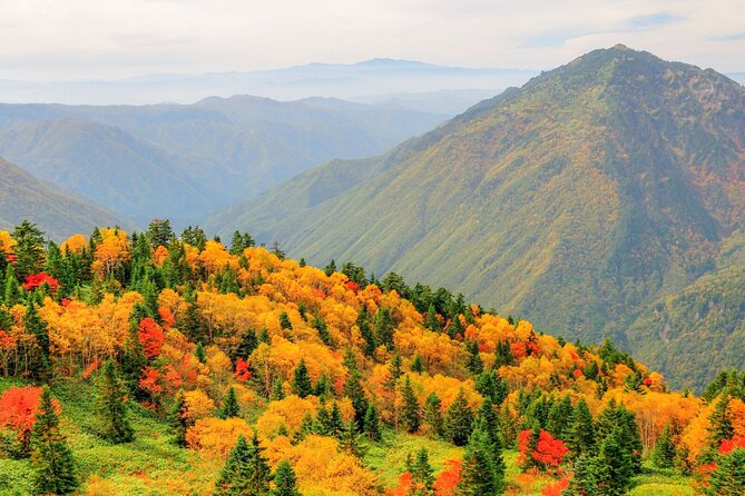 From Takayama: Alpine Splendor - Shinhotaka Ropeway and Kamikochi - Why Choose This Tour