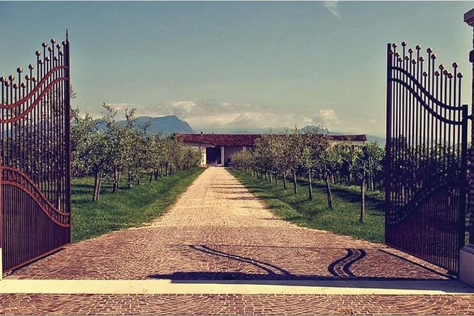 From Verona and Garda: Visit to Sirmione and Lugana Wine Experience - Why Choose This Experience