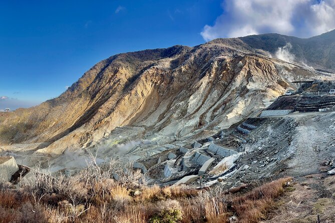 Fuji and Hakone Private Tour With English Guide and Photography - Experience Highlights