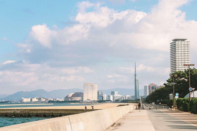 Fukuoka Private Customizable Half Day Tour - About the Tour Operator