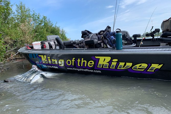 Full Day Alaska Salmon Fishing on the Kenai Peninsula - Customer Reviews and Experiences