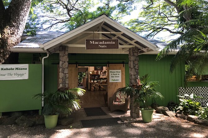 Full-Day Circle Island Guided Tour of Oahu - Taking in Local Culture