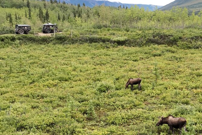 Full Day Fairbanks to Denali Winter Adventure Tour - Getting to Denali National Park