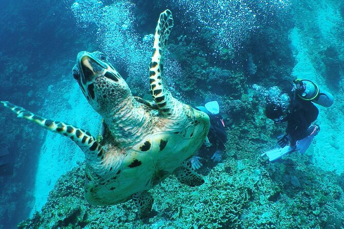 Full Day Guided Boat 2diving in Kerama Islands（License Required） - Preparing for the Dive