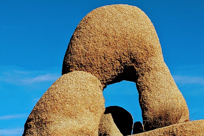 Full Day Hike in Joshua Tree National Park - Whats Included for a Seamless Experience