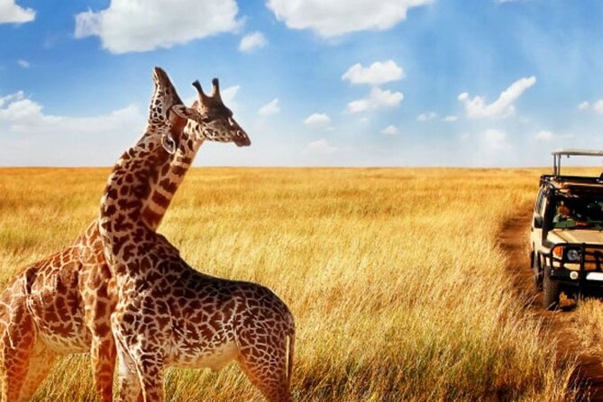 Full Day Isimangaliso Wetlands & Boat Cruise Tour From Durban - Booking Information