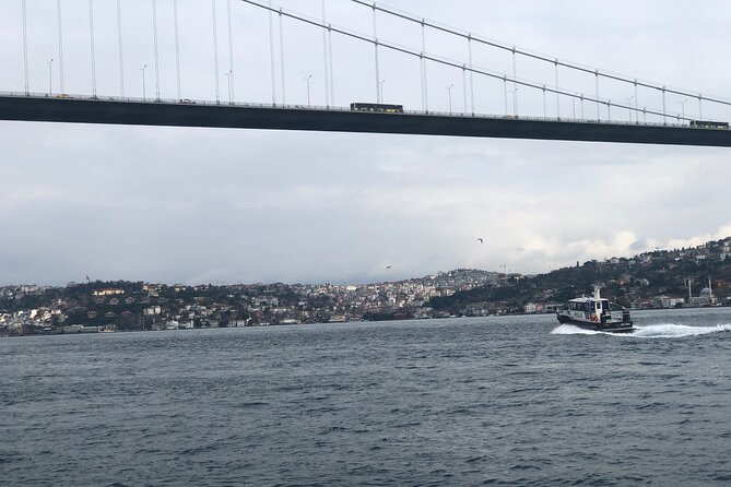 Full Day Istanbul Bosphorus Cruise and Dolmabahce Palace Tour - Lunch and Driving Time