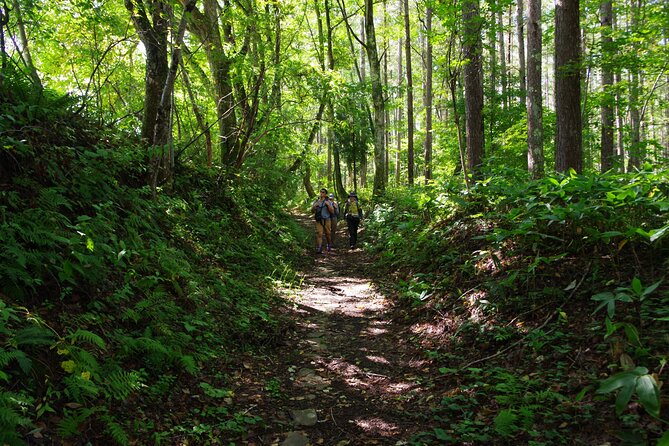 Full Day North Nagano Hiking Experience - Booking and Cancellation Policy Details