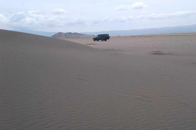 Full Day Olduvai & The Enigmatic Shifting Sand Tour - Guest Reviews and Feedback