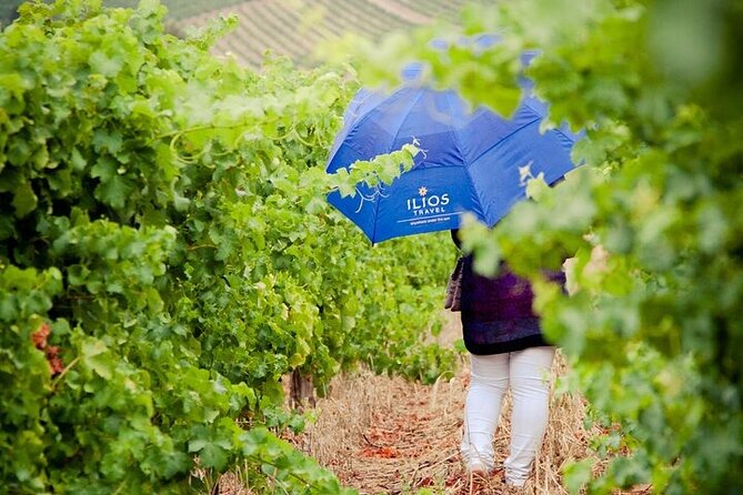 Full Day Private Cape Winelands - Participant Guidelines