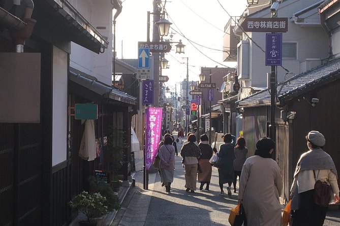 Full-Day Private Guided Tour to Nara Temples - Visiting Kasuga Grand Shrine
