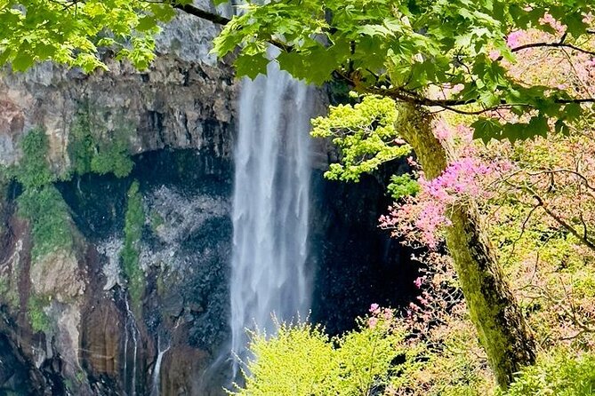 Full-Day Private Nikko Tour From Tokyo Wd English Speaking Driver - Traveler Feedback and Experiences
