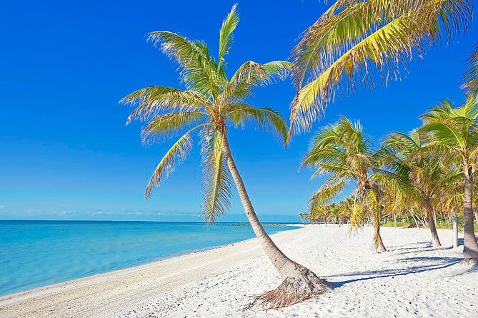 Full-Day Private Tour in Key West - Group Size and Customization
