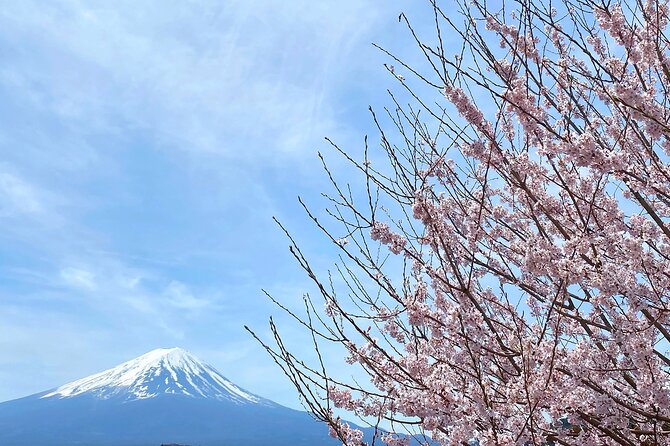 Full Day Private Tour to Mt Fuji by Luxury Vehicle - Additional Considerations