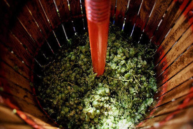 Full Day Private Tour With Txakoli Tasting in Sebastian & Getaria - Txakoli Tasting in Getaria