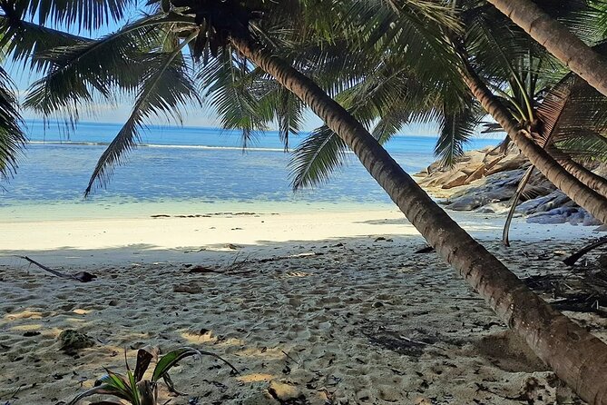 Full Day Reef Safari - St Anne Marine Park Seychelles - Host Responses to Feedback